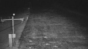 TJ Němčičky - Svah - 7.4.2026 v 00:25 TJ Němčičky - Svah - 7.4.2026 v 00:25