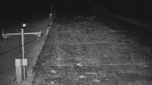 TJ Němčičky - Svah - 7.4.2026 v 00:50 TJ Němčičky - Svah - 7.4.2026 v 00:50