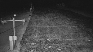 TJ Němčičky - Svah - 7.4.2026 v 01:50 TJ Němčičky - Svah - 7.4.2026 v 01:50