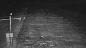 TJ Němčičky - Svah - 7.4.2026 v 02:00 TJ Němčičky - Svah - 7.4.2026 v 02:00