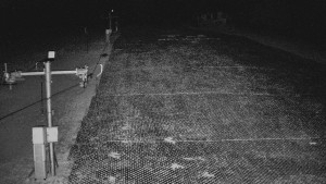 TJ Němčičky - Svah - 7.4.2026 v 03:20 TJ Němčičky - Svah - 7.4.2026 v 03:20