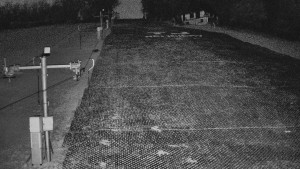 TJ Němčičky - Svah - 7.4.2026 v 05:20 TJ Němčičky - Svah - 7.4.2026 v 05:20