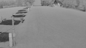 TJ Němčičky - Svah - 26.4.2026 v 05:15 TJ Němčičky - Svah - 26.4.2026 v 05:15