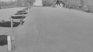 TJ Němčičky - Svah - 26.4.2026 v 05:25 TJ Němčičky - Svah - 26.4.2026 v 05:25