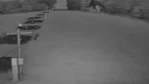 TJ Němčičky - Svah - 9.6.2026 v 04:00 TJ Němčičky - Svah - 9.6.2026 v 04:00