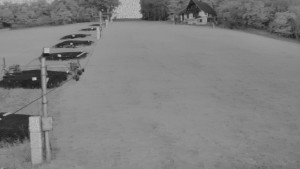 TJ Němčičky - Svah - 12.6.2026 v 04:15 TJ Němčičky - Svah - 12.6.2026 v 04:15