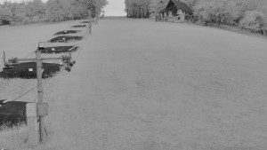 TJ Němčičky - Svah - 12.6.2026 v 21:05 TJ Němčičky - Svah - 12.6.2026 v 21:05