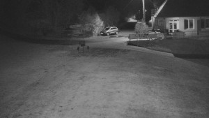 TJ Němčičky - Nástupní stanice - 28.10.2025 v 05:00 TJ Němčičky - Nástupní stanice - 28.10.2025 v 05:00