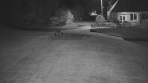 TJ Němčičky - Nástupní stanice - 28.10.2025 v 19:30 TJ Němčičky - Nástupní stanice - 28.10.2025 v 19:30