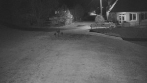 TJ Němčičky - Nástupní stanice - 28.10.2025 v 20:00 TJ Němčičky - Nástupní stanice - 28.10.2025 v 20:00