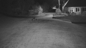 TJ Němčičky - Nástupní stanice - 28.10.2025 v 22:30 TJ Němčičky - Nástupní stanice - 28.10.2025 v 22:30