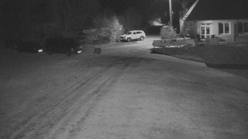 Snímek    1.11.2025 v 00:30