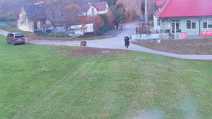 TJ Němčičky - Nástupní stanice - 7.11.2025 v 15:00 TJ Němčičky - Nástupní stanice - 7.11.2025 v 15:00