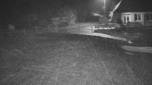 TJ Němčičky - Nástupní stanice - 19.12.2025 v 04:00 TJ Němčičky - Nástupní stanice - 19.12.2025 v 04:00