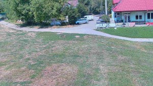TJ Němčičky - Nástupní stanice - 31.7.2026 v 12:30 TJ Němčičky - Nástupní stanice - 31.7.2026 v 12:30