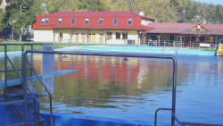 Koupaliště