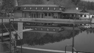 TJ Němčičky - Koupaliště - 17.12.2025 v 07:00 TJ Němčičky - Koupaliště - 17.12.2025 v 07:00