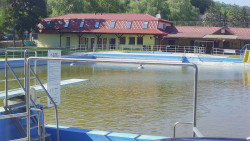 Koupaliště