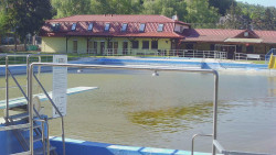 Koupaliště
