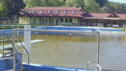 Koupaliště