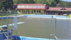 Koupaliště