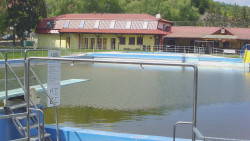 Koupaliště