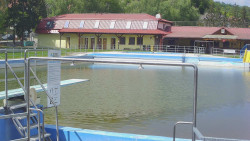 Koupaliště