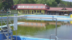 Koupaliště