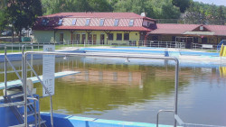 Koupaliště