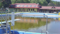 Koupaliště