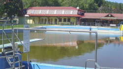 Koupaliště