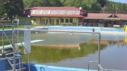 Koupaliště