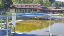 Koupaliště
