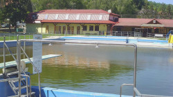 Koupaliště