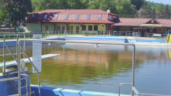 Koupaliště