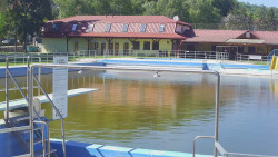 Koupaliště