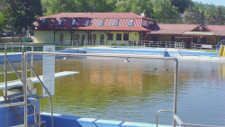 Koupaliště