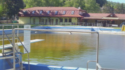 Koupaliště