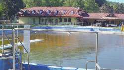 Koupaliště