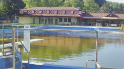 Koupaliště