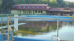 Koupaliště