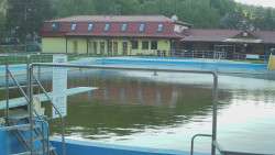 Koupaliště