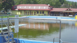 Koupaliště