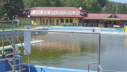 Koupaliště
