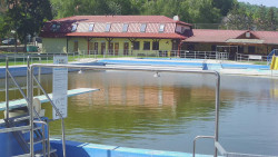Koupaliště