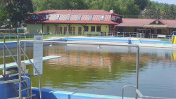 Koupaliště