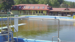 Koupaliště