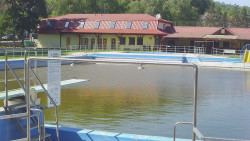 Koupaliště