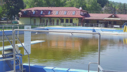 Koupaliště