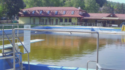Koupaliště